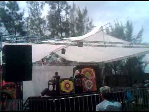 terranoise en gdl, 2011