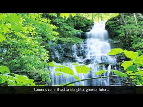 CANON CLI-8M rašalinė, rausva video