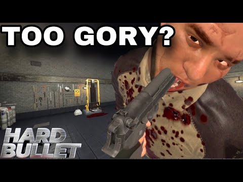 THIS VR GAME IS CRAZY (hard bullet vr)
