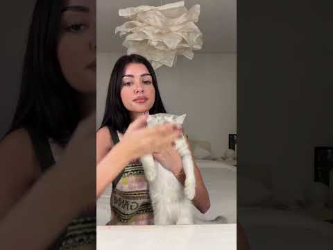 Jetzt alles Katzenhaare in der Nase  #short #shorts #ilay