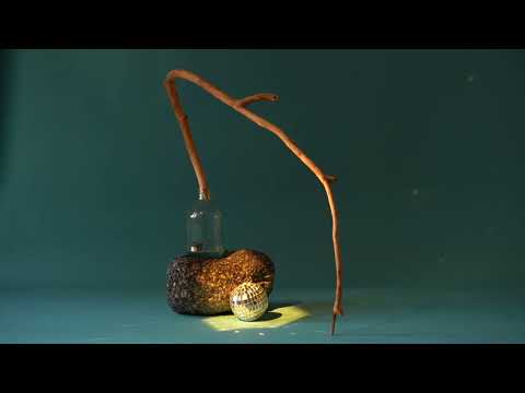 "Aš Tik Norėčiau" Darius Mileris Nojus