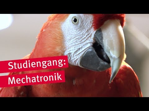 Studiengang Mechatronik