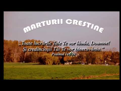 Cristian Bogeanu - partea 2