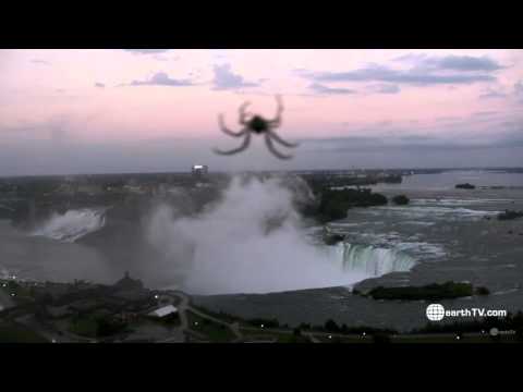 Spider caught on earthTV camera
