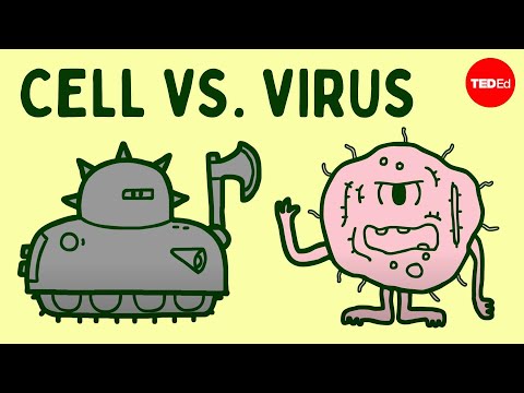 Cell vs. virus: A battle for health - Shannon Stiles