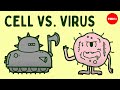 Cell Vs Virus A Battle For Health Shannon Stiles