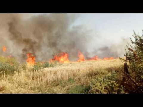 IN SATU CORNU COMUNA ORODEL AU DAT FOK LA MIRISTIE