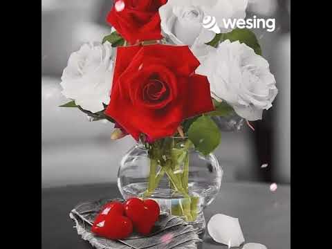 BUNGA DAN TANGKAINYA