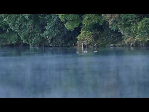 勝浦川／Katsuura River