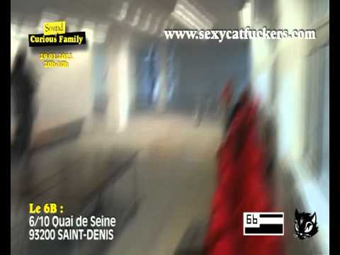 Sound of Curious Family - 29.01.11 au 6B (Pré-vidéo)