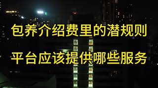 包养平台应该提供哪些服务