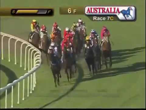 BTC CUP 2016 - Malaguerra