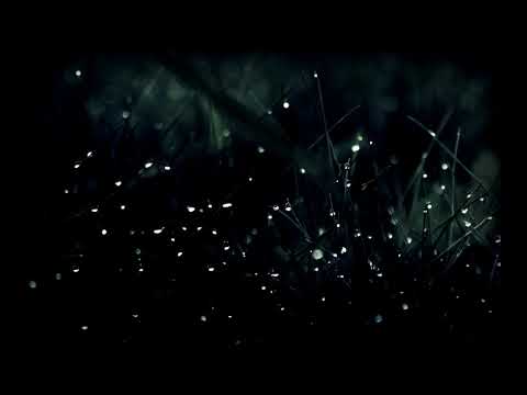 DjCole - House - Tech House Mix