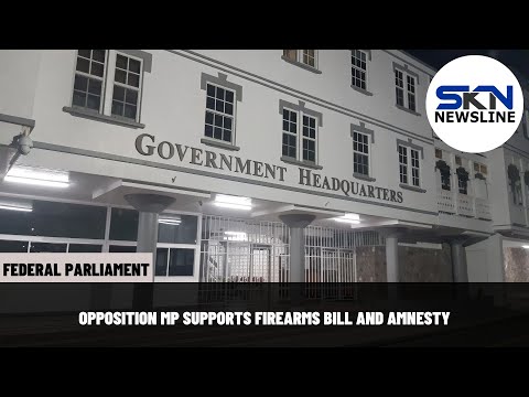 OPPOSITION MP SUPPORTS FIREARMS BILL AND AMNESTY