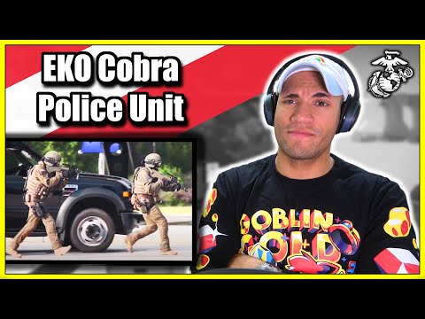 Marine reacts to Austrian Counter-Terror Police (EKO Cobra)
