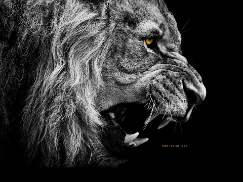 Wir spielen mafia 3 #abo #Teamausländer