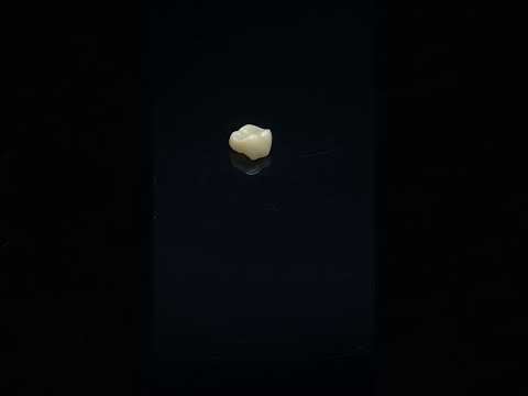 YouTube 썸네일