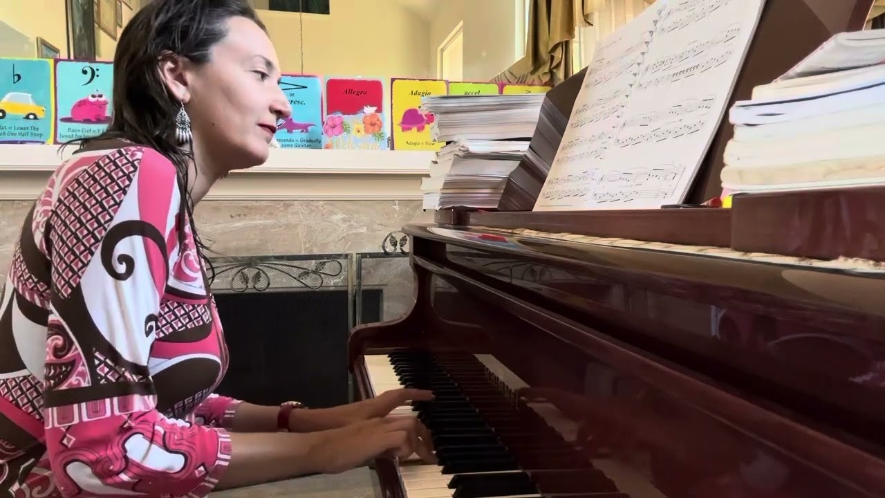 Promotional video thumbnail 5 for Lena's Celestia Wedding Band and Solo Act