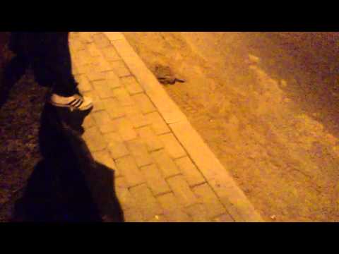 crm city racing of minsk 24.03.2012 11.mp4