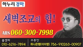 일요경마 복병마/훈련우수마 추천