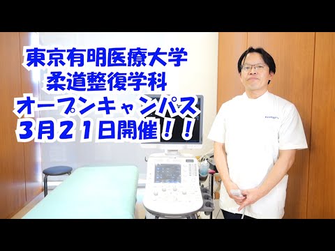 【予告】超音波観察装置の魅力