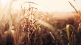 TCTS ft  Sam Sure   You