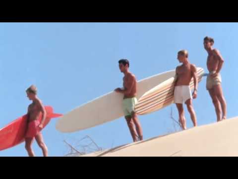 Best Clip from The Endless Summer