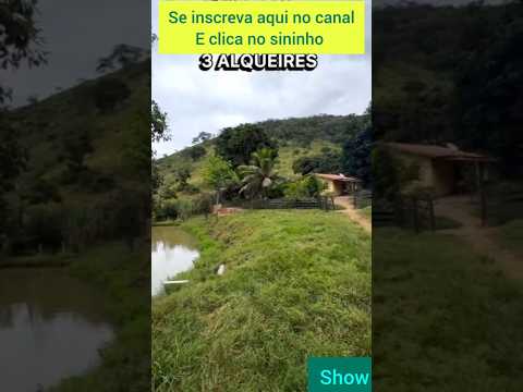 Sítio show de 3 alqueires em Minas Gerais  cidade Poté #brasil #pote #mercadoagricola #agro #gado