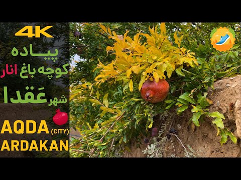 پیاده روی پاییزی کوچه باغ انار شهر عقدا اردکان | Ardakan Aqda Iran's Garden Walking Tour in 4K 60p