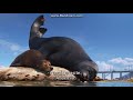 Finding Dory Cutscene 2