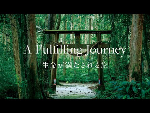 【屋久島】Historical Excursion : 歴史探訪 - A Fulfilling Journey 生命が満たされる旅