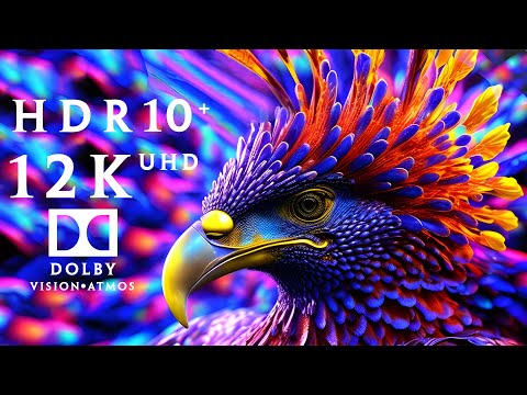 Amazon 12K HDR 10+ Dolby Vision - The World’s Largest Tropical Rainforest | Scenic Relaxation Film