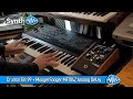 Crumar Bit 99 MoogerFooger MF104Z Analog Delay