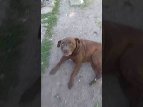 11 de noviembre de 2021