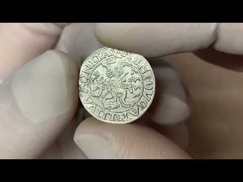 Zygmunt II August, Półgrosz Wilno 1557 - Behm - błąd DVG - nieopisany