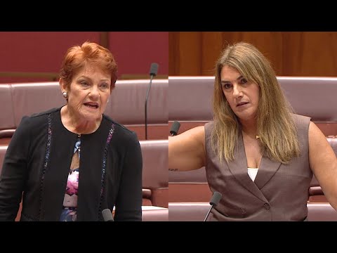 Lidia Thorpe accuses Pauline Hanson of calling her a ‘b***h’