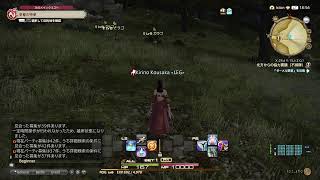 超絶久々にFF14のせかいを冒険!!