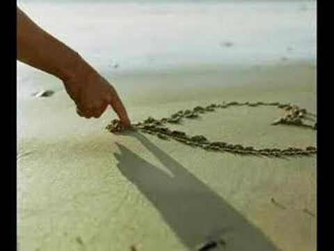 Te Amar Demais (BOKALOKA)