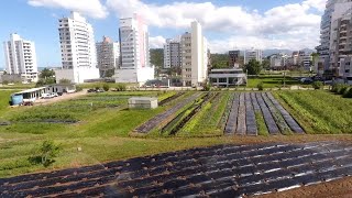 Miniatura do vídeo