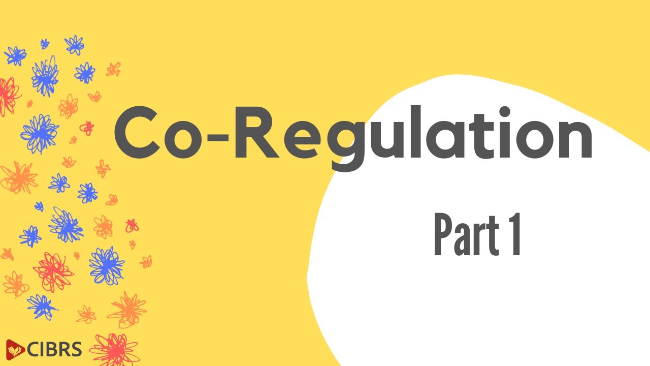 Co-Regulation: Part 1