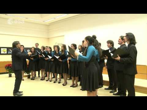 Coro Giovanile Diapason - The Christmas Song