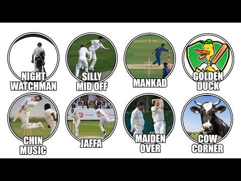 Cricket’s CRAZIEST TERMS - Explained in 8 Minutes