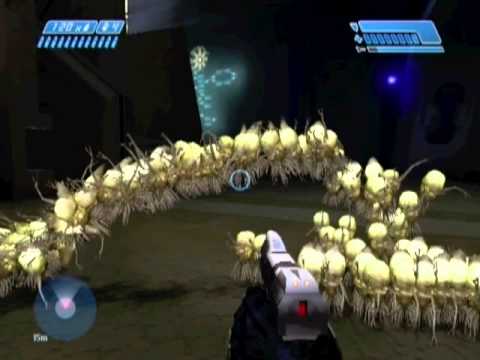 BCM63 - Spore herding, fun with a massive early herd