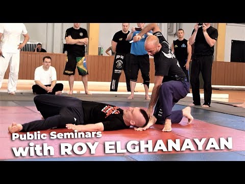 Krav Maga Seminars with Roy Elghanayan (2012/2013)