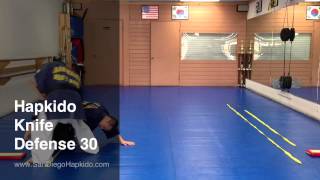 Hapkido Knife Defense 30