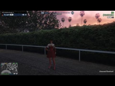 Grand Theft Auto V lost vs cops vs dead me