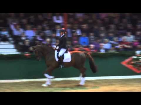 Jazzmate - Hengstschau Sprehe 05. Februar 2011