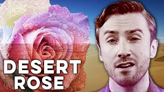 Peter Hollens &amp; Alaa Wardi Desert Rose (Sting feat. Cheb mami Cover)