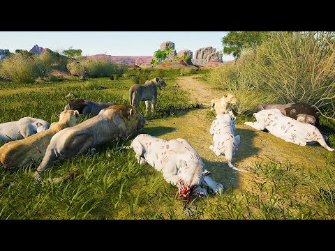 THE POWER OF THE LIONESS - Animalia Survival