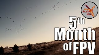 Welcome to my 5th month flying FPV drones | Freestyle Flight Edit